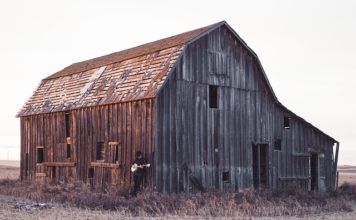 Po co potrzebna jest architektura? Po co potrzebna jest architektura?