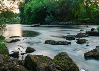 Ile prądu zużywa nieużywana podłączona do gniazdka ładowarka?